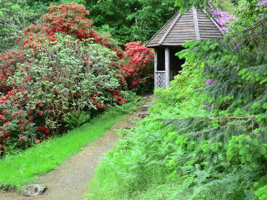 Ardkinglas Woodland Garden