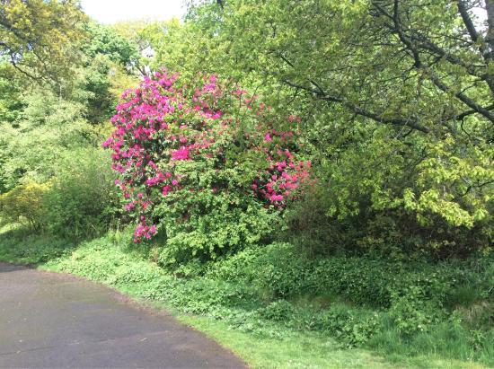 Plean Country Park