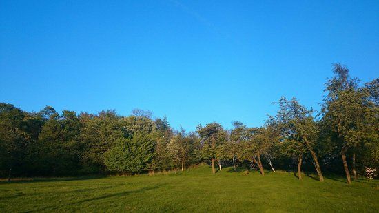 Ruchill Park