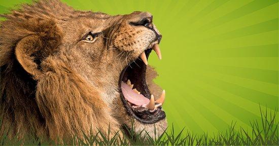 Blair Drummond Safari and Adventure Park