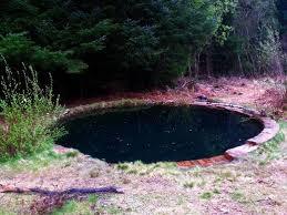 Torwood Blue Pool