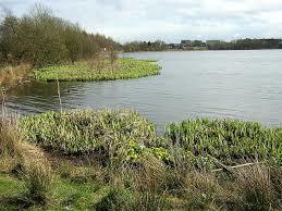 Garnqueen Loch
