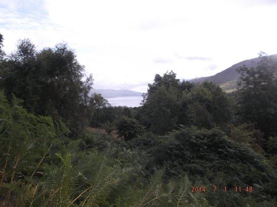 Callander - Balquhidder Trail