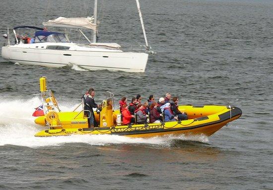 Glasgow Sea Safari