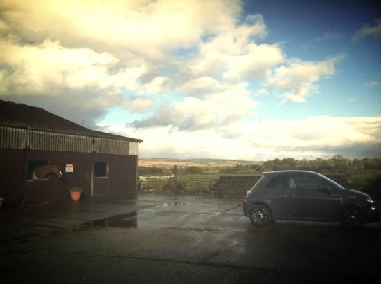 Duncryne Equitation and Trekking Centre